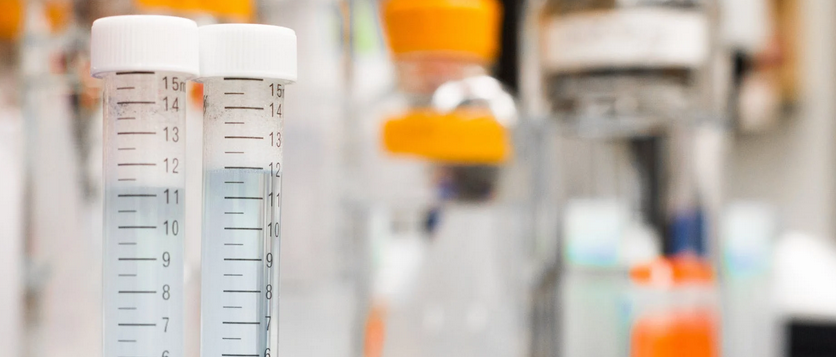 New,Substance,Registration,Review,China,Record,Data New,Substance,Registration,Review,China,Record,Data