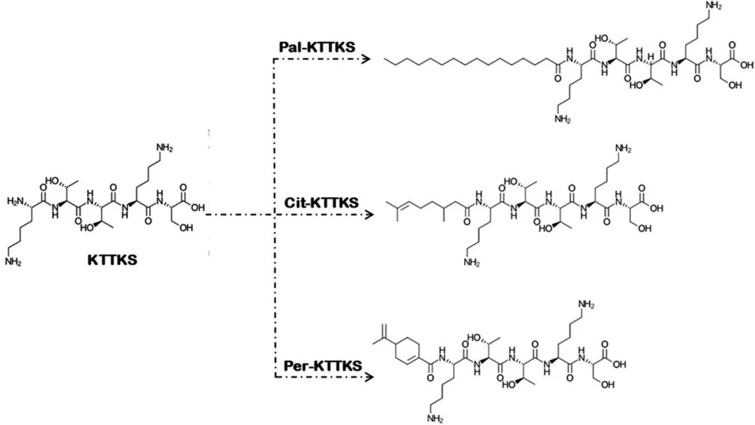 化妝品,皮膚,滲透性,抗皺,滲透,化學 化妝品,皮膚,滲透性,抗皺,滲透,化學