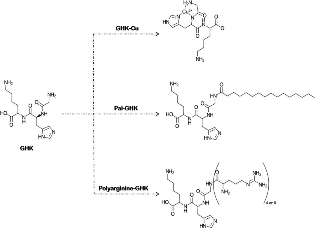 化妝品,皮膚,滲透性,抗皺,滲透,化學 化妝品,皮膚,滲透性,抗皺,滲透,化學