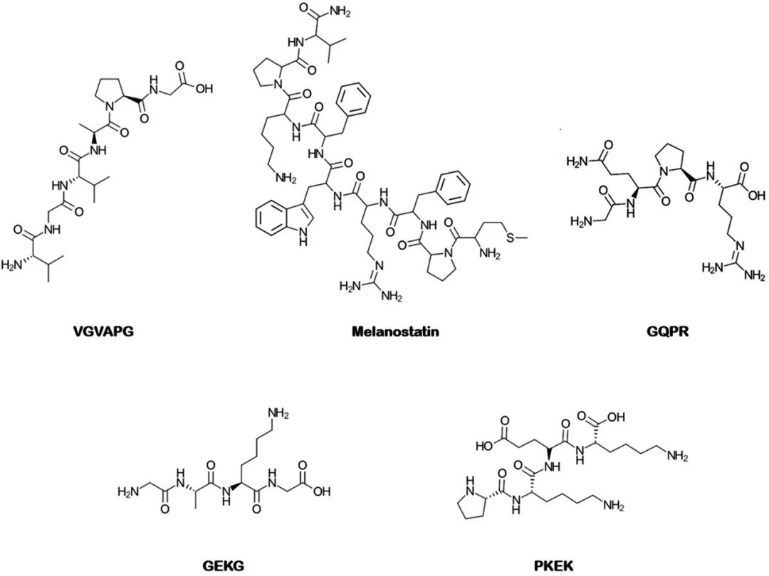 化妝品,皮膚,滲透性,抗皺,滲透,化學 化妝品,皮膚,滲透性,抗皺,滲透,化學