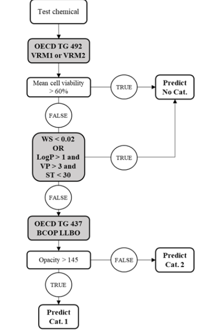 化妝品,方法,組合,角膜,規定性,測試 化妝品,方法,組合,角膜,規定性,測試