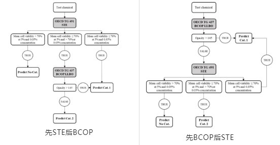化妝品,方法,組合,角膜,規定性,測試 化妝品,方法,組合,角膜,規定性,測試