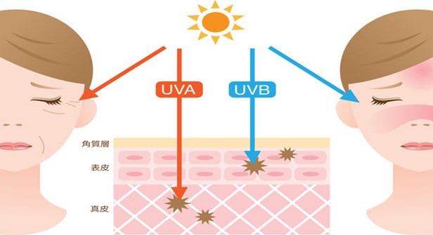化妝品,防曬,紫外線,進口防曬產品注冊,合規 化妝品,防曬,紫外線,進口防曬產品注冊,合規
