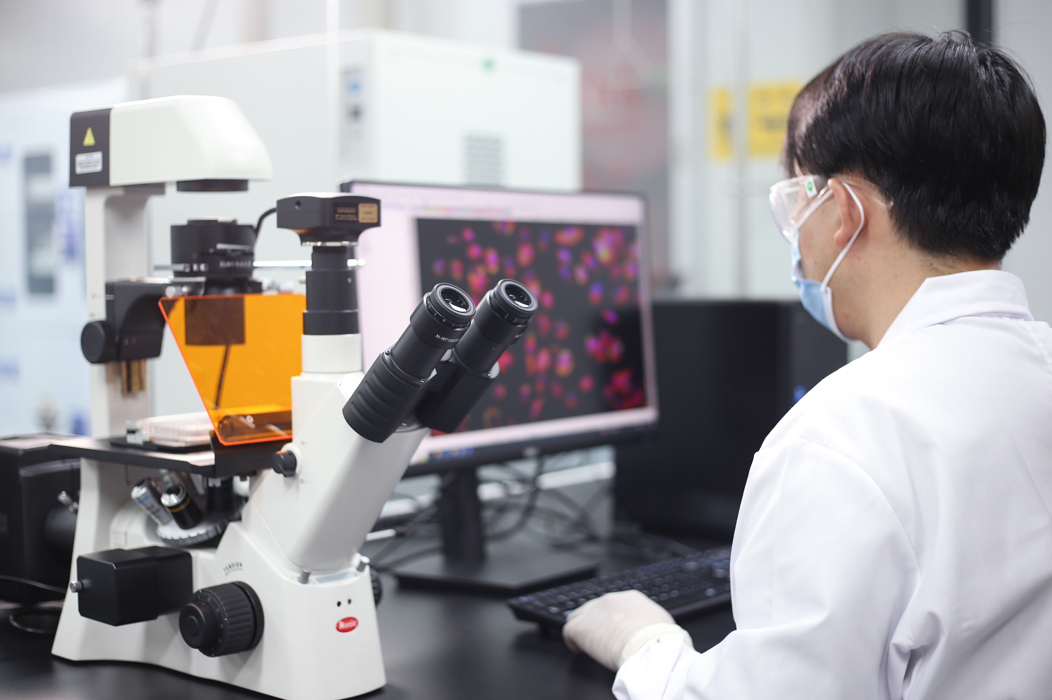 In-vitro Laboratory