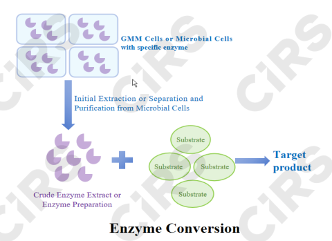 Food,Biology,Approach,Innovation,Registration,Filing,Guideline
