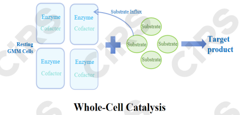 Food,Biology,Approach,Innovation,Registration,Filing,Guideline