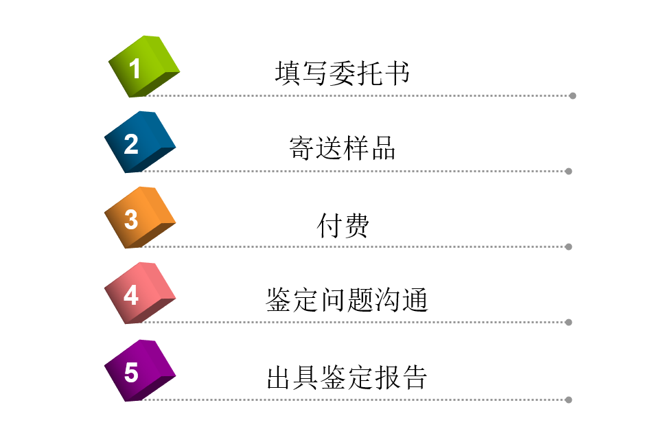 貨物運輸,鑒定,危險貨物,IMDG