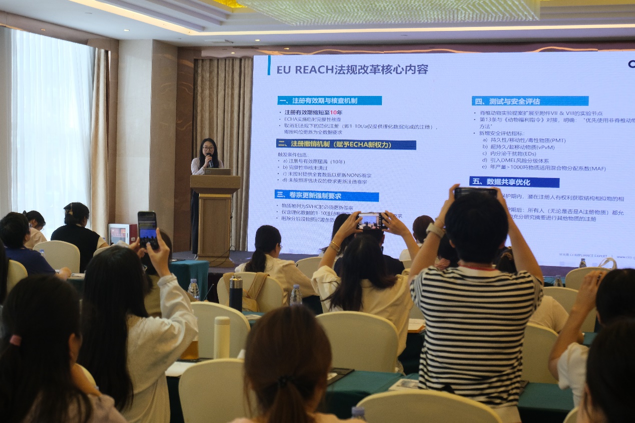 化學品,合規,可持續,全球