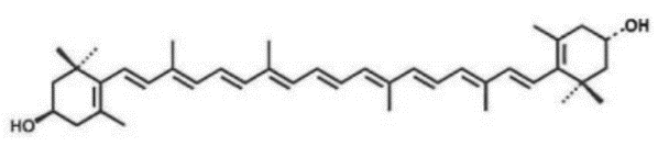 半年,新食品原料,食規查,申報,分析