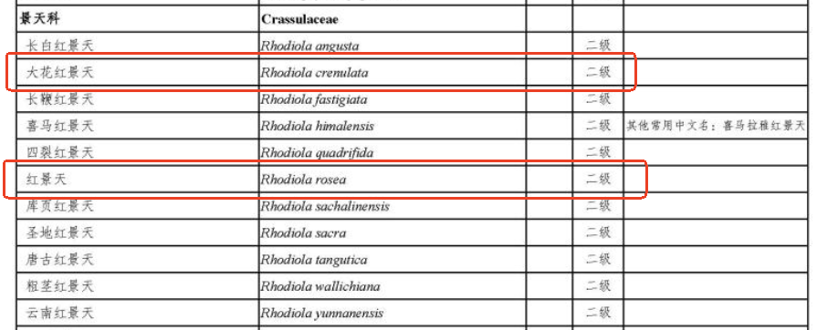 保健食品原料,紅景天,合成生物學,紅景天苷