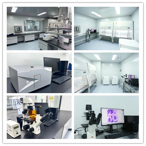 瑞旭科新生物,化妝品功效,日化品,瑞旭集團,希科檢測,注冊備案