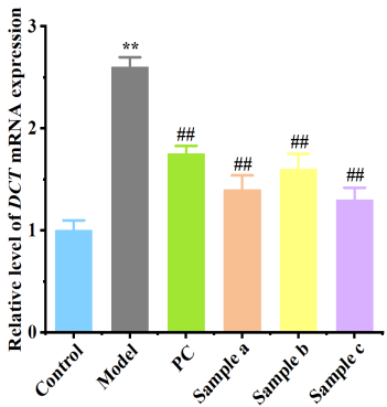 體外細胞,培養,模型,祛斑,美白,功效評估