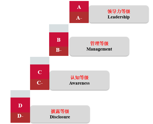 喜報,瑞旭,CDP問卷,B評級